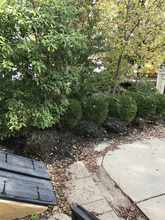 Landscaping near off street parking - 2738 Shippen Ave