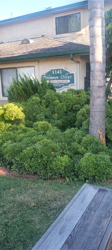Primary Photo - 1141 Persimmon Ave
