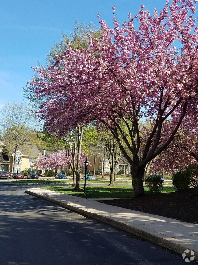 Apartments for Rent in Upper Providence PA