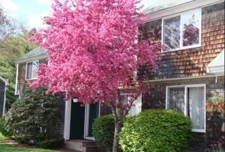 Primary Photo - Longley Place Townhomes