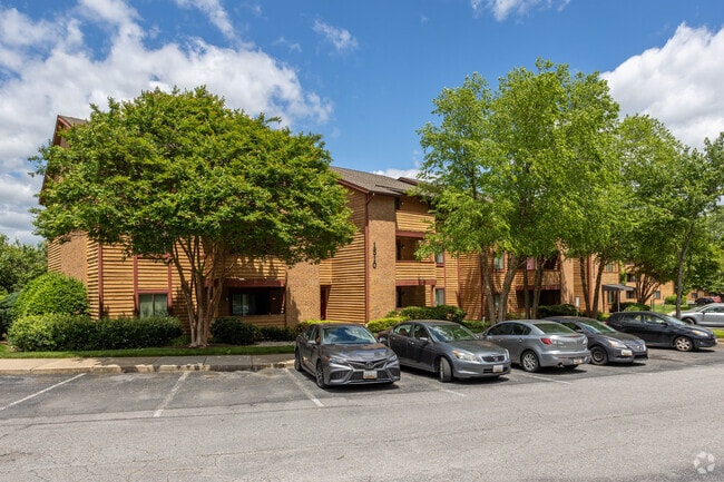 Building Photo - Birches