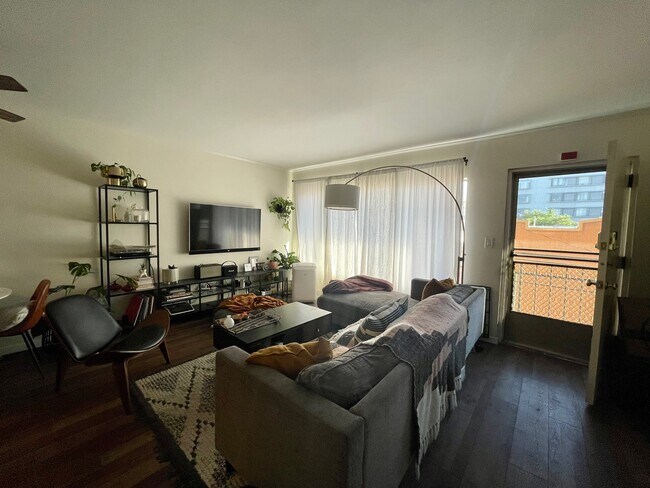 Large bright living room - 230 Linden Ave
