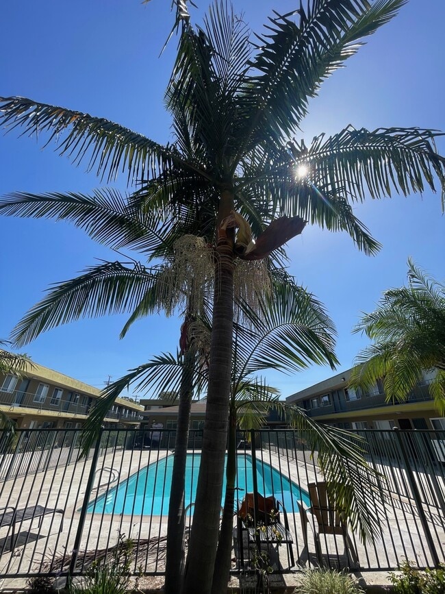 Building Photo - Country Villa Apartments