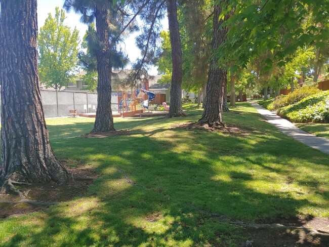 Building Photo - 20216 Northbrook Sq