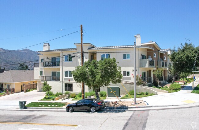 Alternate - 2454 Montrose Ave