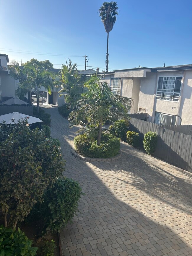 Patio - Palm Terrace