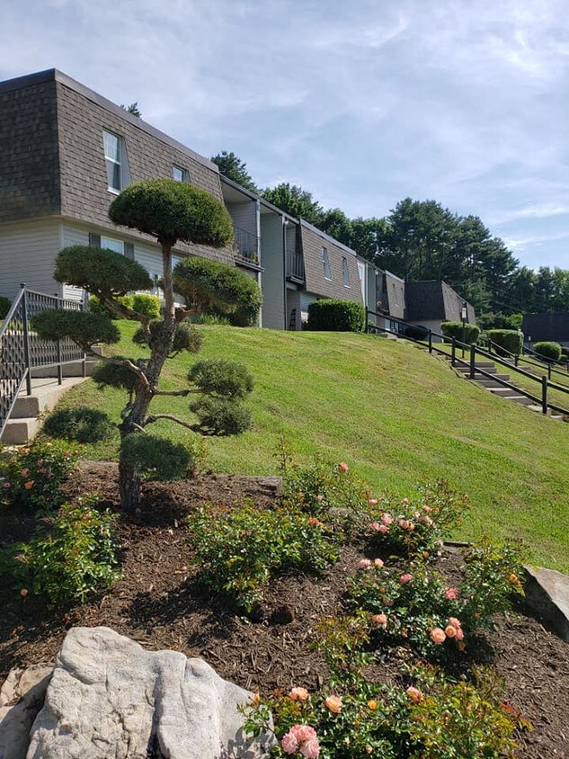 The Meridian Apartments Knoxville, TN