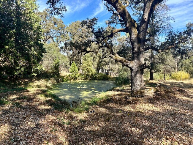Building Photo - Stunning Renovated 2 Bedroom 2 Bathroom Farm House on 8 Acres