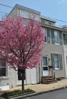 Building Photo - 227 N Darlington St