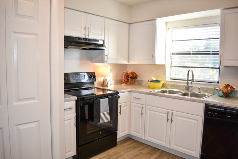 Photo - 5107 S Clarice Ct (Tampa, FL)