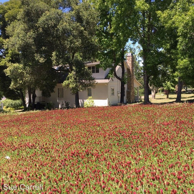 Building Photo - 3 br, 2 bath House - 1840 Pleasant Hill Rd.