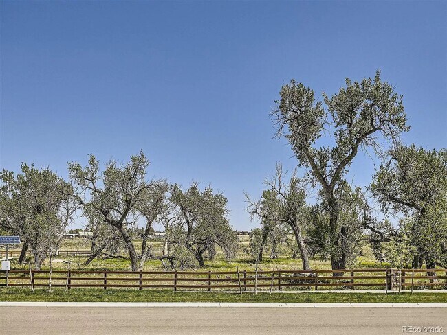 Building Photo - Stunning New Build in Aurora with Sleek Fi...
