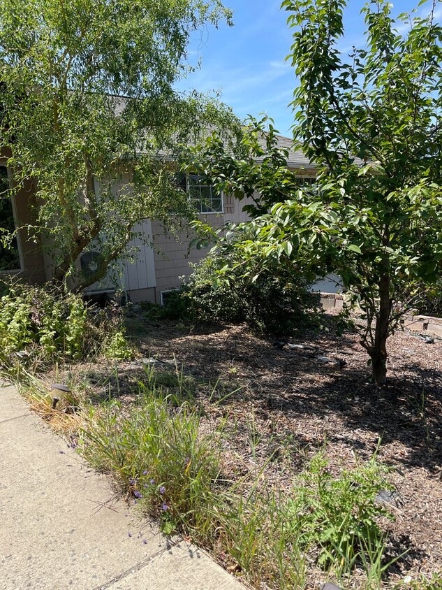Building Photo - 2 Bedroom, 1 Bathroom on Military Hill, Pe...