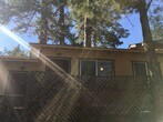 Primary Photo - 1BR in Idyllwild
