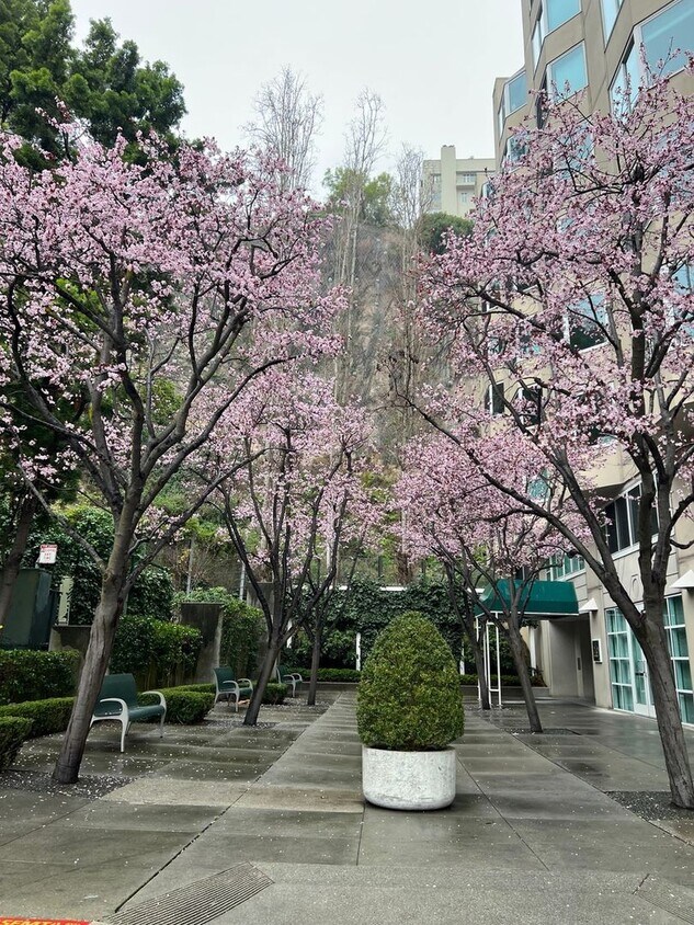 Foto principal - Charming 1BR/1BA Condominium in Financial ...