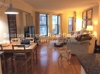 Primary Photo - 107 Peterborough St