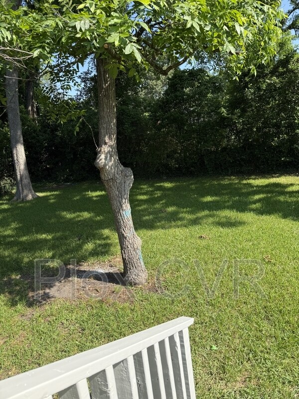 Foto del edificio - 2711 Pecan St