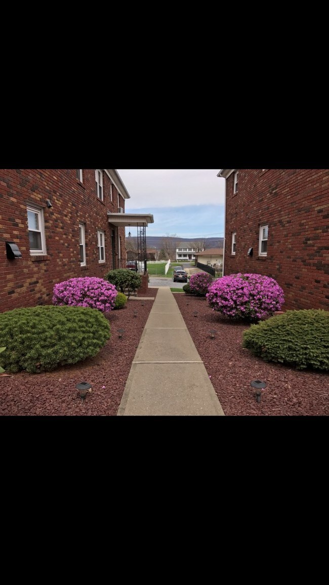 Foto del edificio - 2722 Pittston Ave