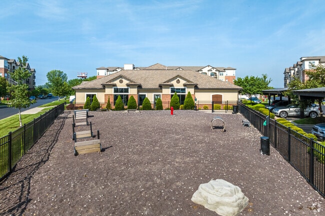 Dog Park - The Landing At Briarcliff