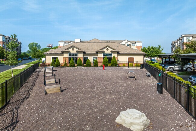 Parque para perros - The Landing At Briarcliff
