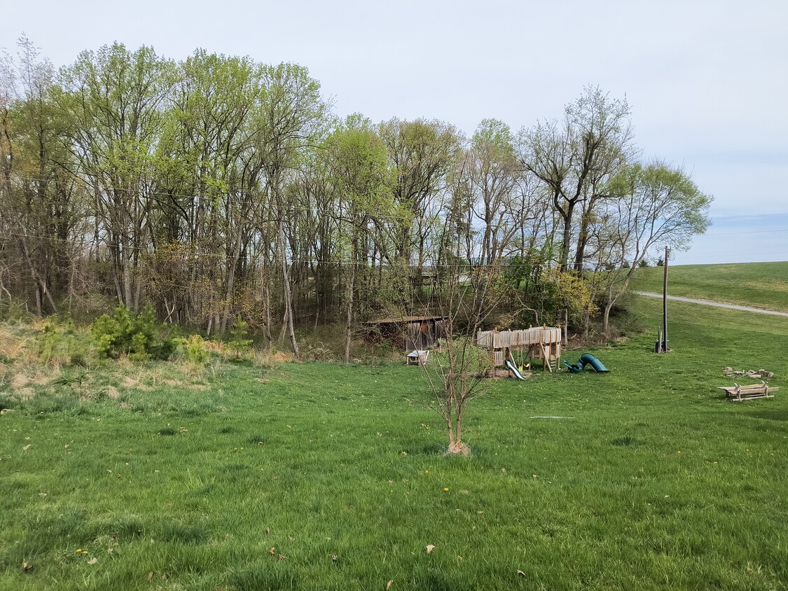 view of back yard from side of house - 14736 Heavenly Acres Rdg