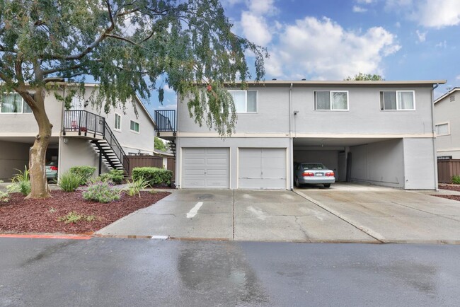 Building Photo - 341 San Petra Ct