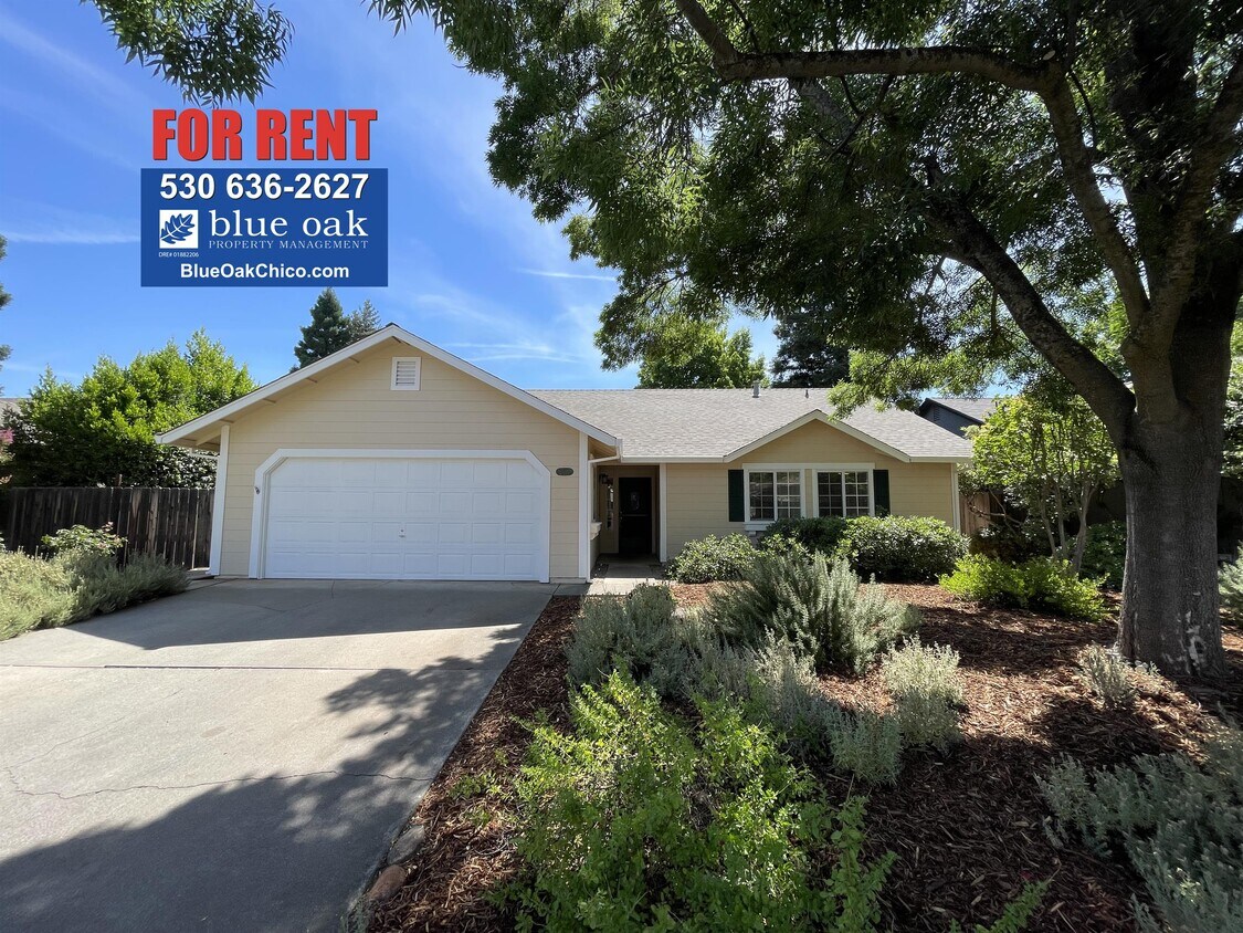 Primary Photo - 2618 Navarro Dr