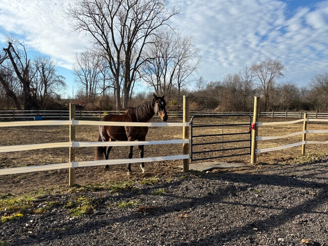 Foto del edificio - 5906 Little Turtle Trail
