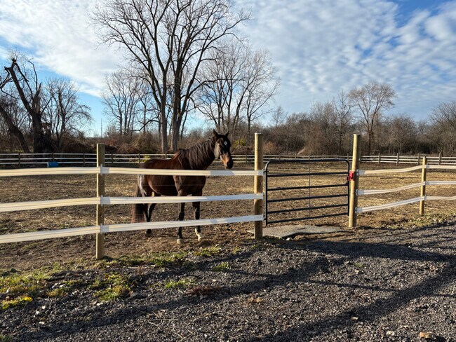 Building Photo - 5906 Little Turtle Trail