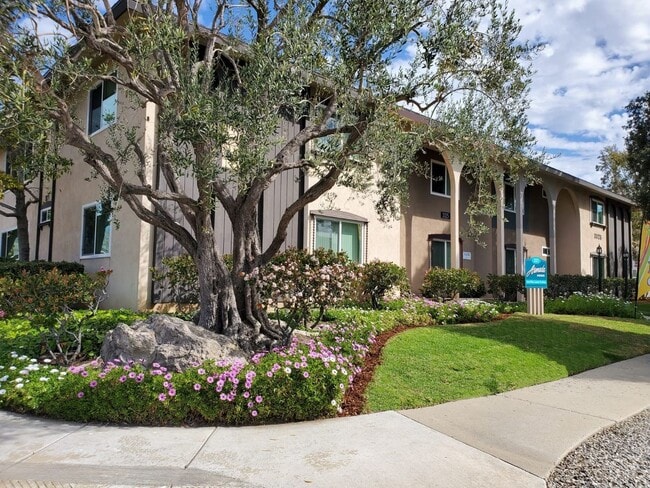 Interior Photo - Armada Apartments