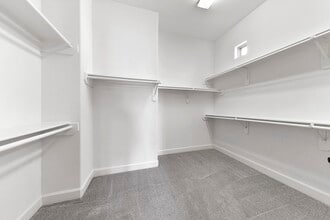 Building Photo - 3319 Bingham Manor Ln