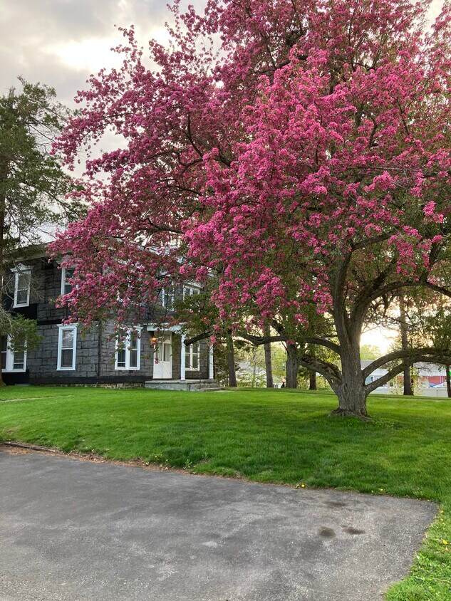 Foto principal - 113 Lake Hill Rd