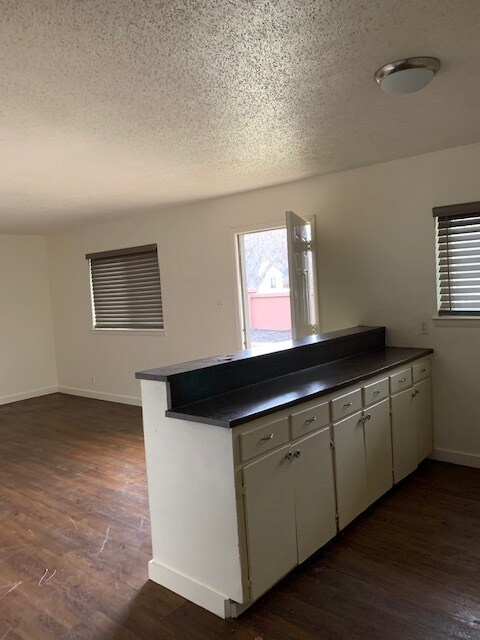 Huge Bar provides tons of Counter and Cabinet Space! - 313 Thomas St