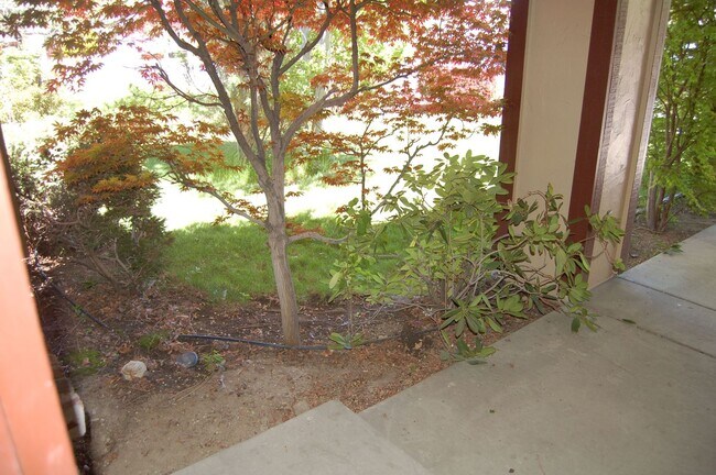 Foto del edificio - Beautiful 4 Bedroom, 3 Bath, 2 Car Garage ...