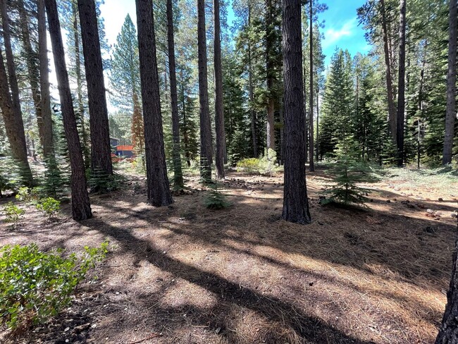 Foto del edificio - Nice house in South Lake Tahoe available now!