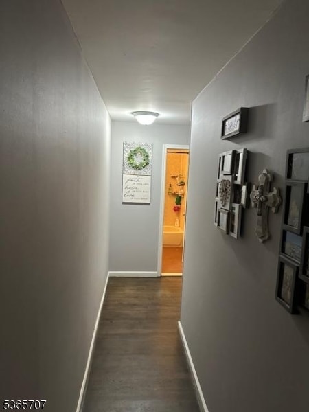 Building Photo - 281 College Dr