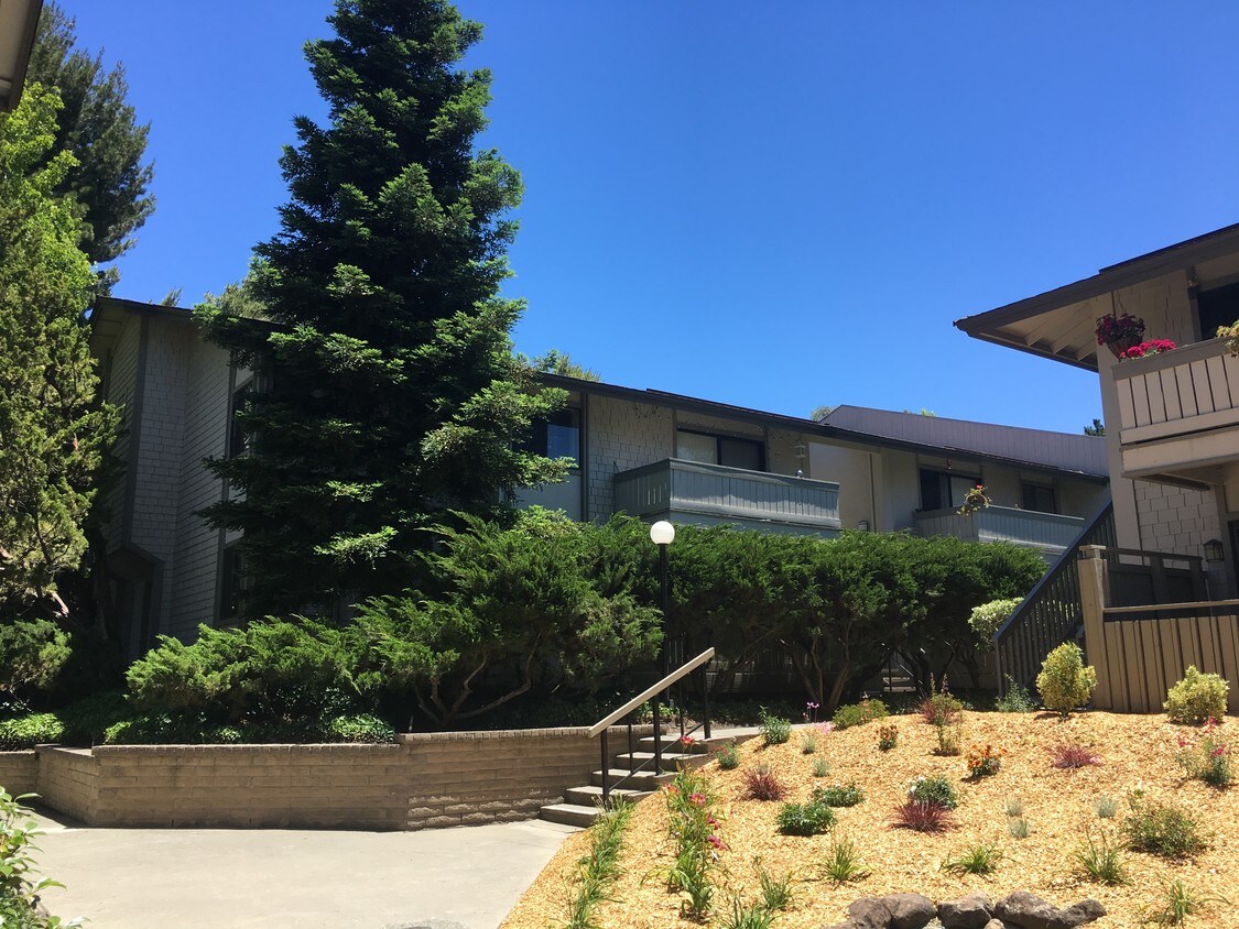 1443 Marchbanks Dr, Walnut Creek, CA 94598 Apartments in Walnut Creek