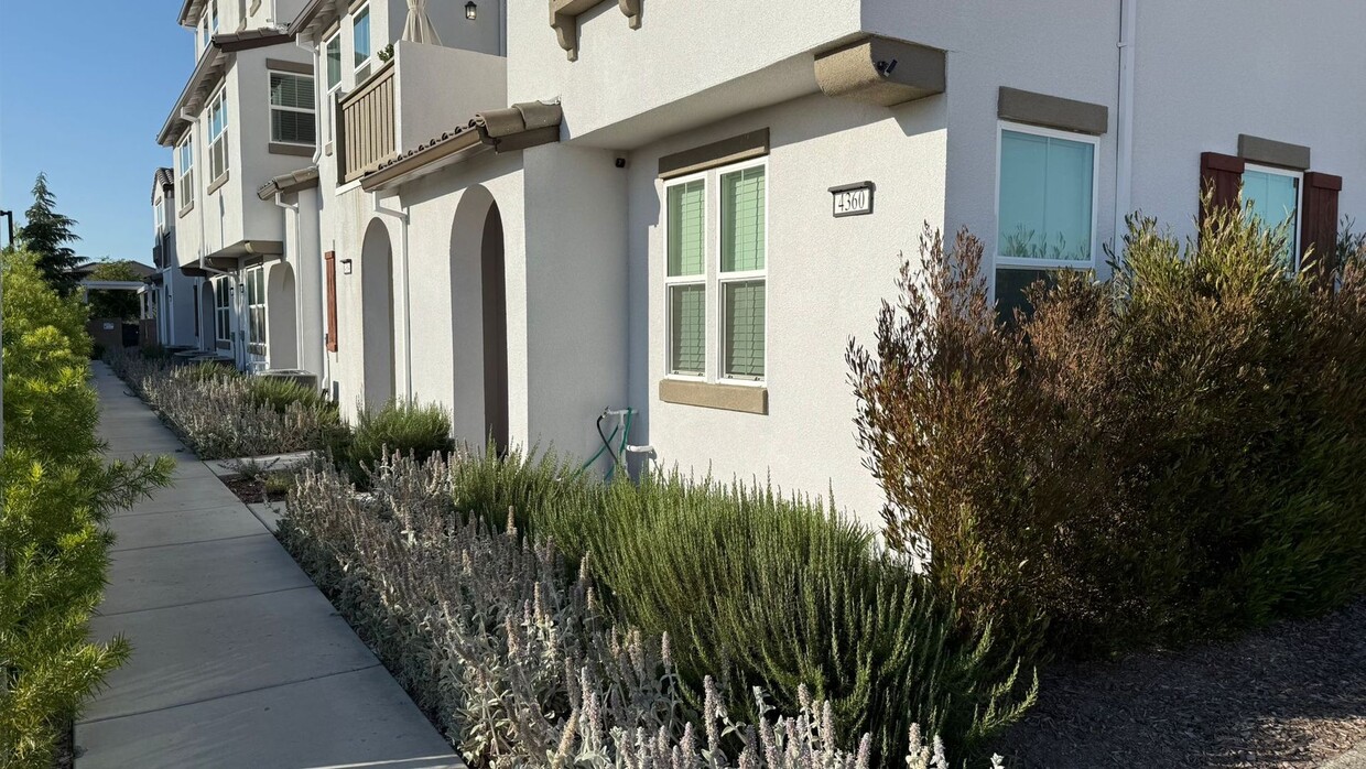 Primary Photo - Modern Comfort Meets Prime Natomas Living ...