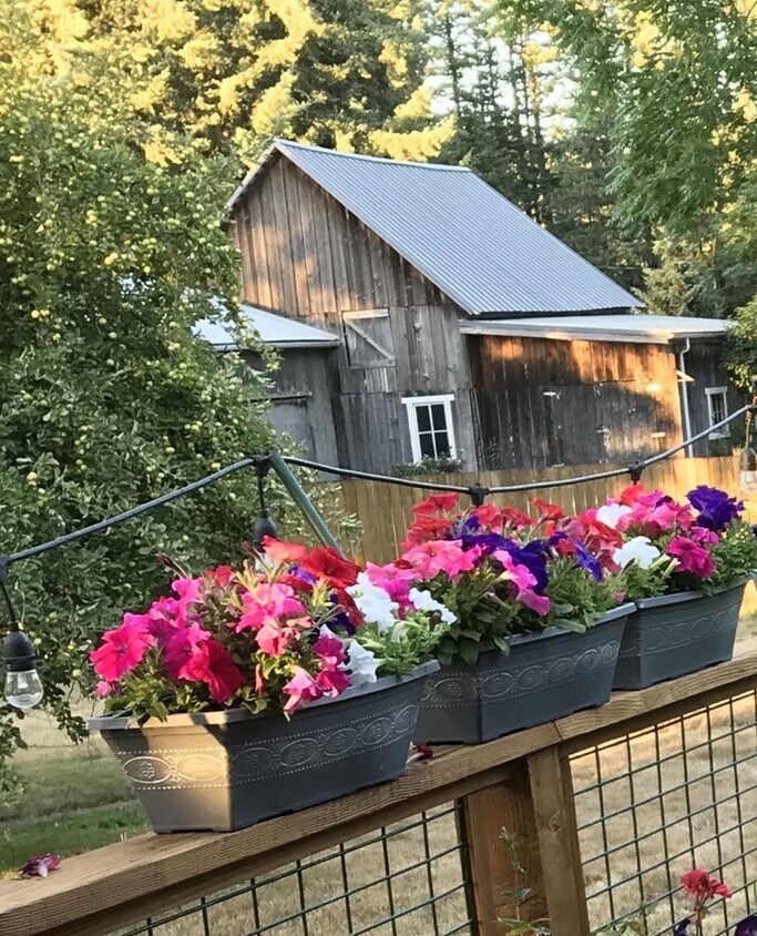 Foto principal - Rustic Cabin on horse farm