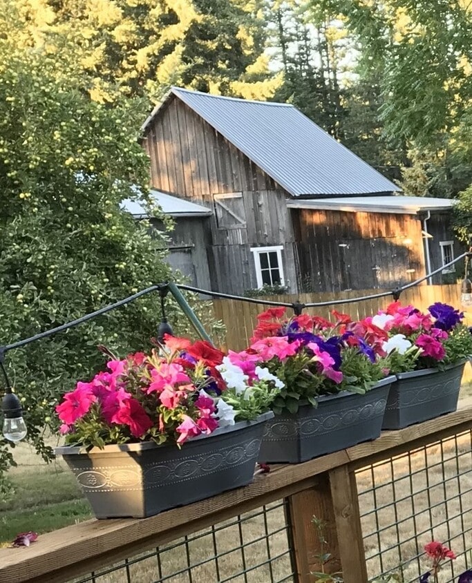 Primary Photo - Rustic Cabin on horse farm