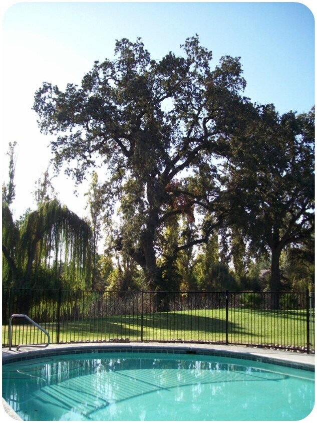 Piscina/Spa - 2421 N 11th Ave