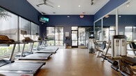 This single-floor fitness center offers a comprehensive workout environment designed to support a wide range of exercise routines. The space is defined by bold navy blue accent walls, durable speckled flooring, and a ceiling fan with recessed lighting that keeps the environment comfortable and well-illuminated. Large windows line multiple walls, flooding the interior with natural light and offering views of a lush outdoor pool area framed by palm trees — creating an energizing atmosphere for exercise.

The cardio zone is generously outfitted with a row of Life Fitness treadmills, upright and recumbent bikes, elliptical trainers, and stair climbers, many equipped with individual screens for entertainment. A wall-mounted flat-screen TV is positioned for easy viewing from the cardio area. A full wall of mirrors enhances the sense of space and allows users to monitor their form during workouts.

The strength training section includes a multi-use cable machine and a dedicated free weights area featuring a tiered dumbbell rack alongside adjustable benches for various lifting exercises. A separate functional training zone offers a set of plyometric boxes in varied heights, ideal for jump training and agility work, alongside a cycling station. The fitness center also connects to an adjacent room, rounding out a thorough and versatile facility.