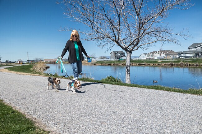 A woman walks her dogs in Clinton at Clinton Pond Park.