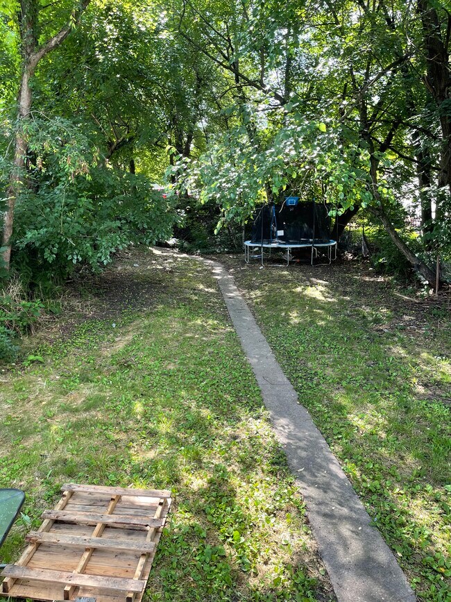 Yard - 1811 Cedar Ave