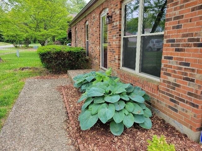 Foto del edificio - 8323 Roseborough Rd