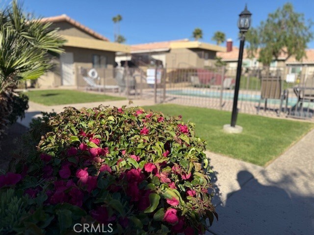 Foto del edificio - 79700 Ave 42