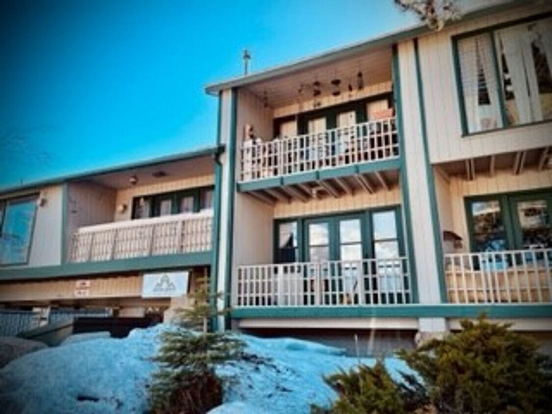 137 Kahle Dr, Stateline, NV 89449 Apartments in Stateline, NV