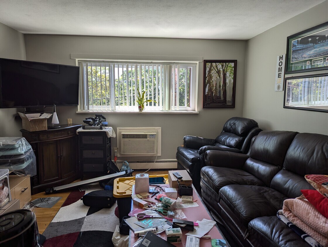 Living Room, view to Charles River - 12 Riverside St