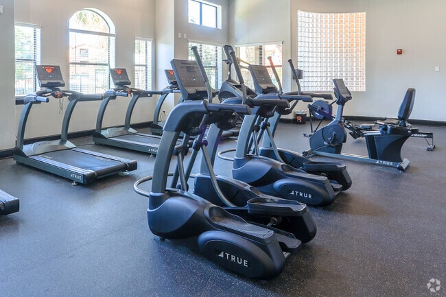 Gimnasio - Bella Madera