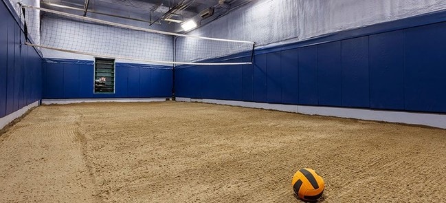 Volleyball Court - Copper Beech Commons Apartments